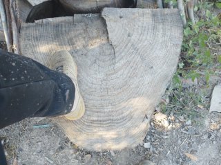 Leña de pino para chimenea