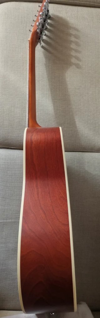 Godin Coastline Cedar 12 Cuerdas