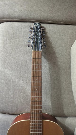 Godin Coastline Cedar 12 Cuerdas