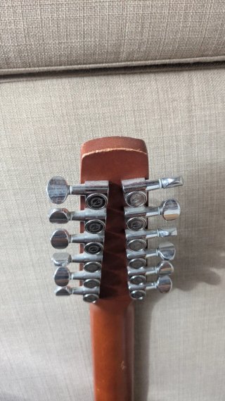 Godin Coastline Cedar 12 Cuerdas
