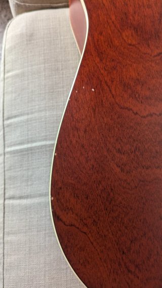 Godin Coastline Cedar 12 Cuerdas