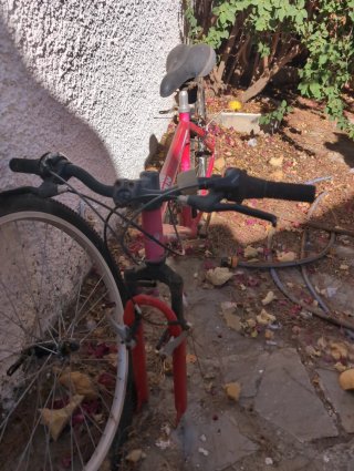Bicicleta 26 Carbono