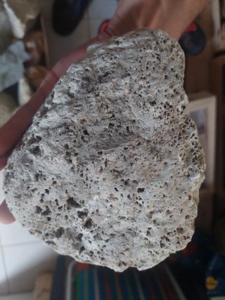 Fóssil Esponja - Pedra Única