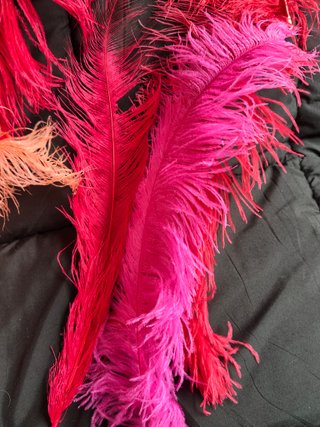 Plumas grandes decorativas. Ideales carnaval.