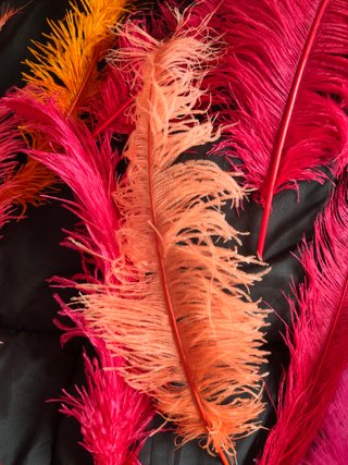 Plumas grandes decorativas. Ideales carnaval.