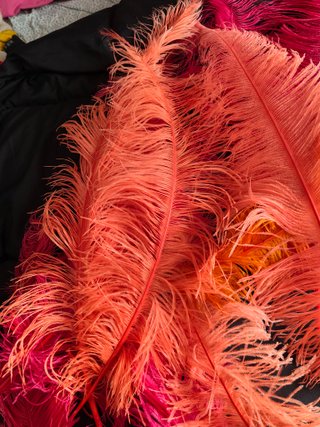 Plumas grandes decorativas. Ideales carnaval.