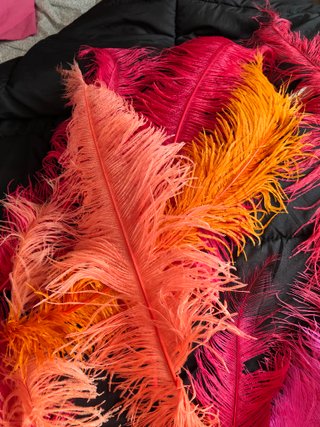 Plumas grandes decorativas. Ideales carnaval.