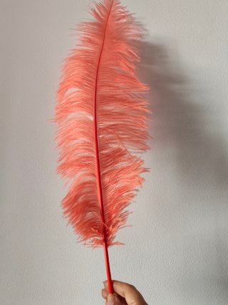 Plumas grandes decorativas. Ideales carnaval.