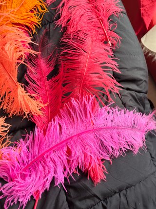 Plumas grandes decorativas. Ideales carnaval.
