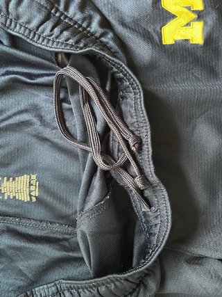 Pantalón chándal Adidas Michigan Wolverines