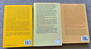 Nubosidad variable (Spanish Edition)