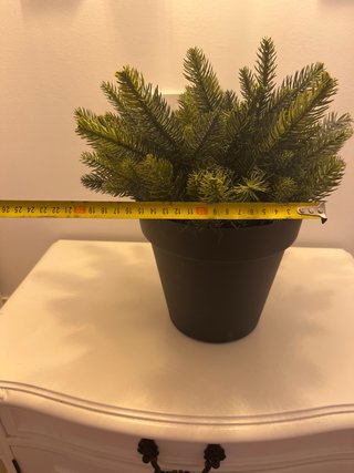 Planta sintética de pino