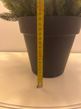 Planta sintética de pino