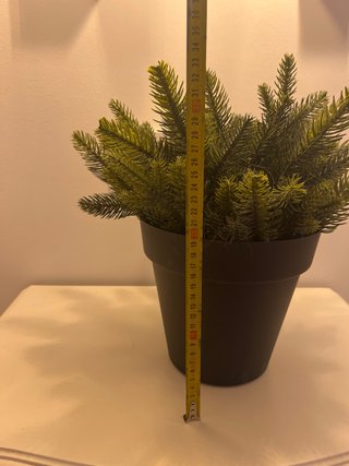 Planta sintética de pino