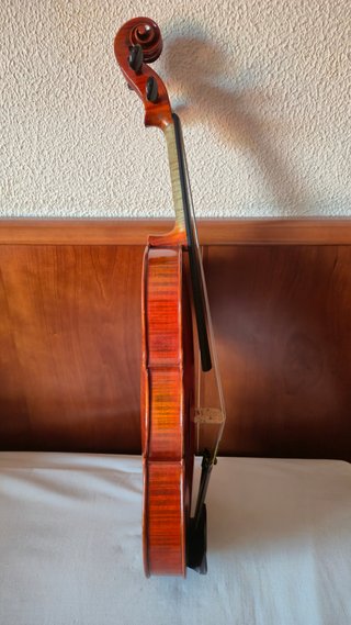 Violin profesional 4/4 Luthier Massimo Mura