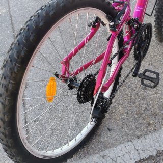 Bicicleta Wolfbike 24 Rosa