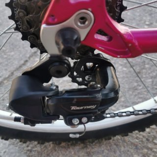 Bicicleta Wolfbike 24 Rosa