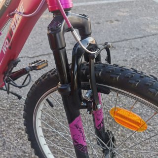 Bicicleta Wolfbike 24 Rosa
