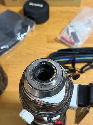 Olympus 150-400mm + Multiplicador x1.4
