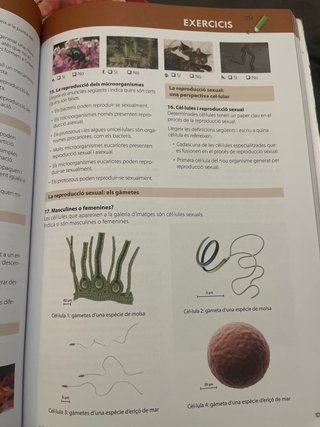 Biologia i Geologia 1 ESO