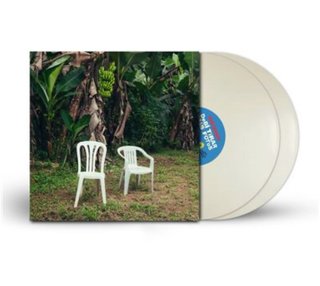 Vinilo Debí Tirar Más Fotos (Nuevo)