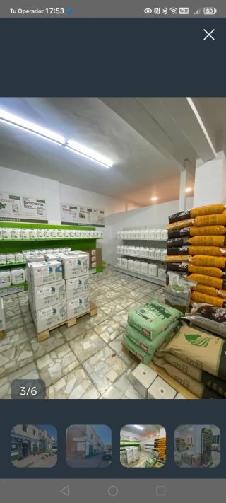 Local comercial en alquiler