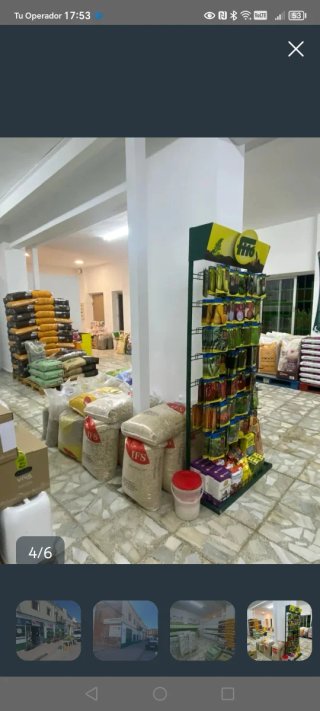 Local comercial en alquiler