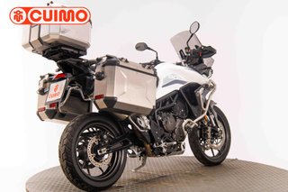 TRIUMPH TIGER 900 GT LOW