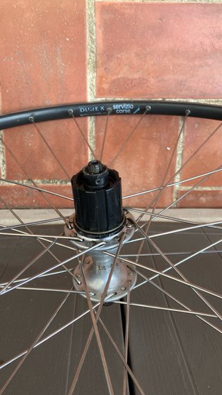 Ruedas Ambrosio con bujes Campagnolo tubular