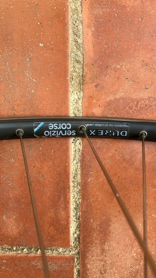 Ruedas Ambrosio con bujes Campagnolo tubular