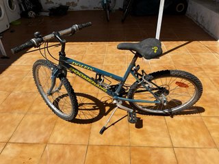 Bicicleta Dolfin Boomerang MTB