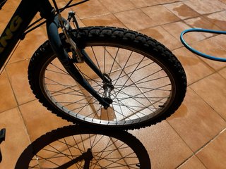 Bicicleta Dolfin Boomerang MTB