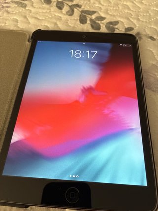 iPad mini 2 32GB con funda