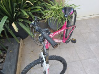 Bicicleta Megamo Open 6061 Rosa