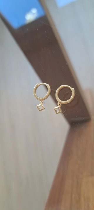 Pendientes aro plata bañada en oro
