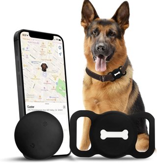 Localizador GPS Perro Sin Suscripción iOS