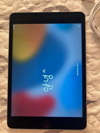 iPad Mini 4 128GB Gris