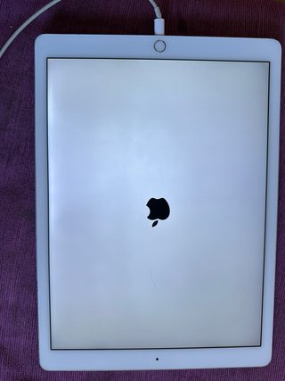 iPad Pro 12.9 128GB (1ª Gen) Blanco