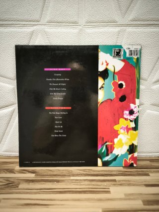 Vinilo Margaret Urlich Safety in numbers