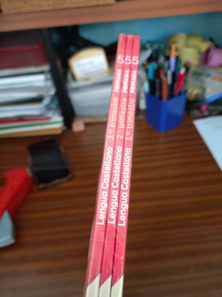 Lengua castellana, 5 Primaria