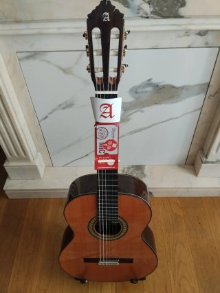 Alhambra 11P Guitarra Clásica