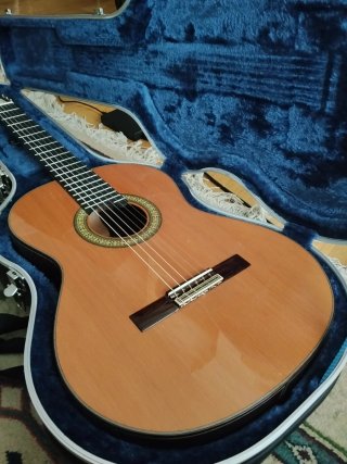 Alhambra 11P Guitarra Clásica