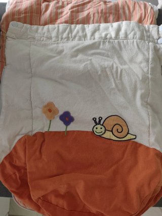 Silleta y Capazo Chicco C1