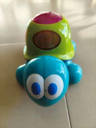 Tortuga musical con luces