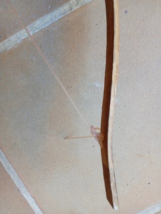 Arco in legno per frecce