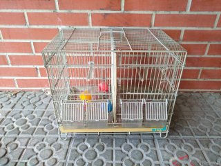 Lote jaulas para pájaros  y accessorios.