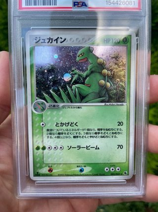 Pokemon Sceptyle Holo Giapponese PSA 8