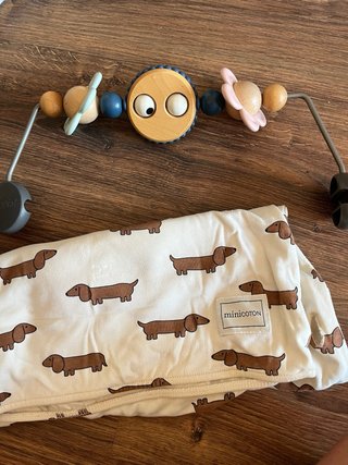 Hamaca Bebé BabyBjörn + funda Minicoton + juguete