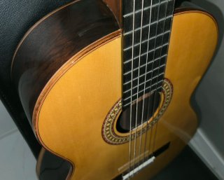 Manuel Rodríguez D rio