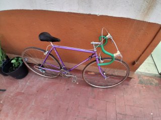 Bicicleta Razesa Morada